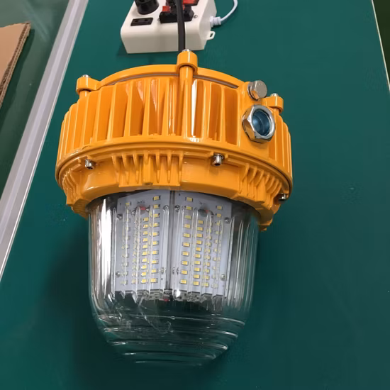 IP65 Industrial Canopy Pendant Lamp Explosion